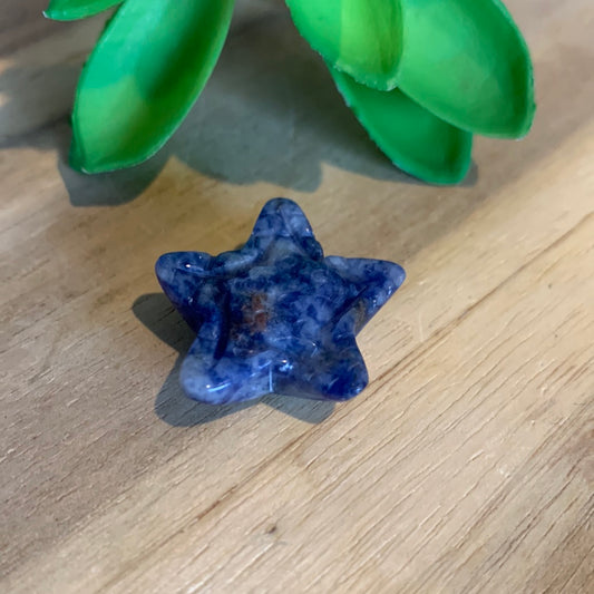 MINI STARFISH