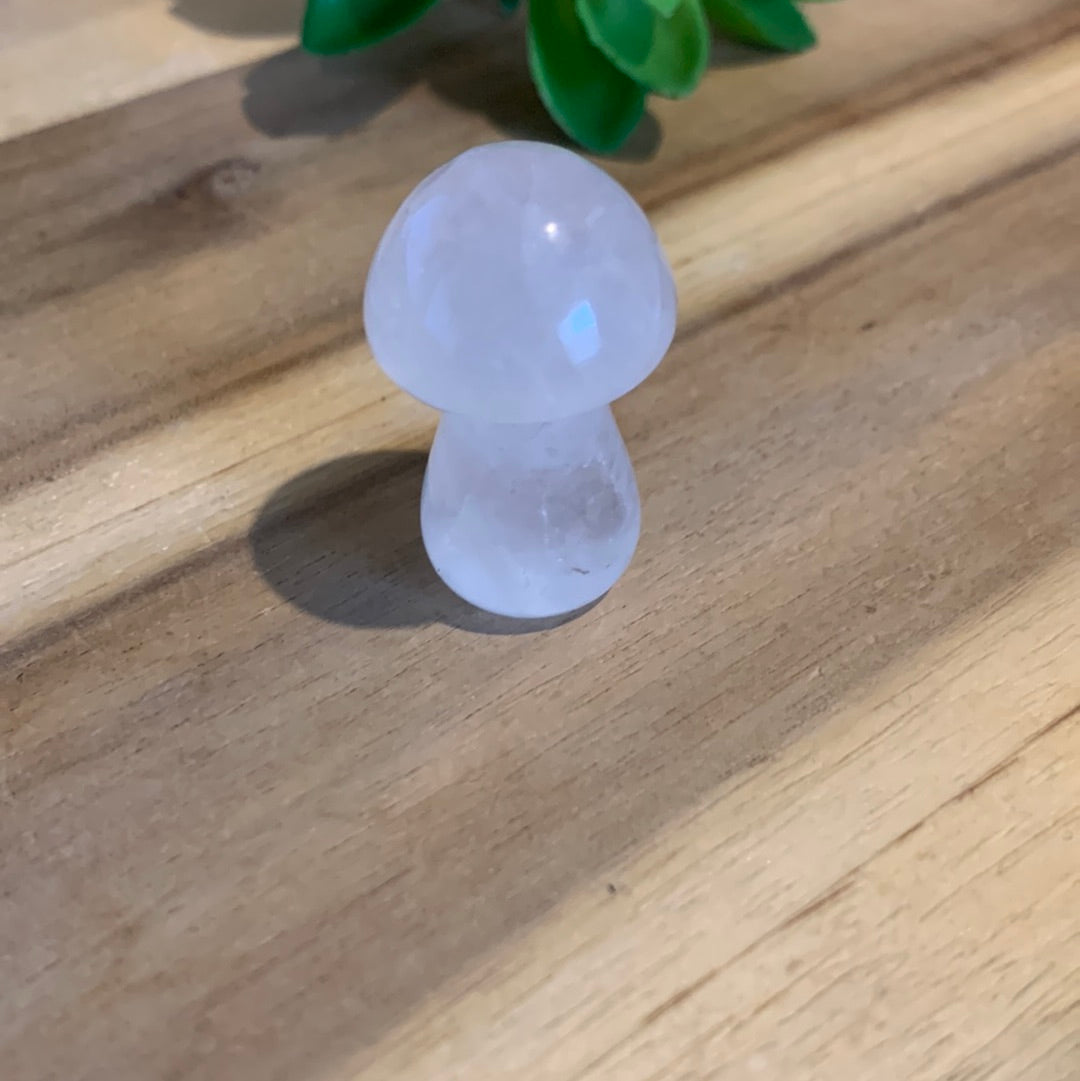 MUSHROOMS (SMALL)