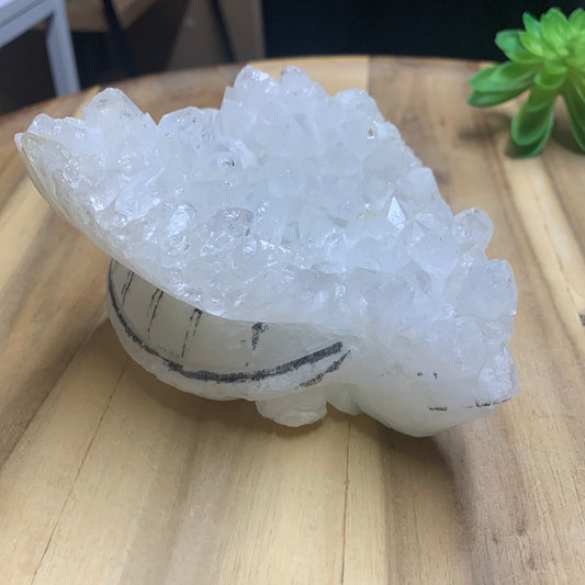 WHITE QUARTZ TURTLE (HUGE 1.246kg!!)