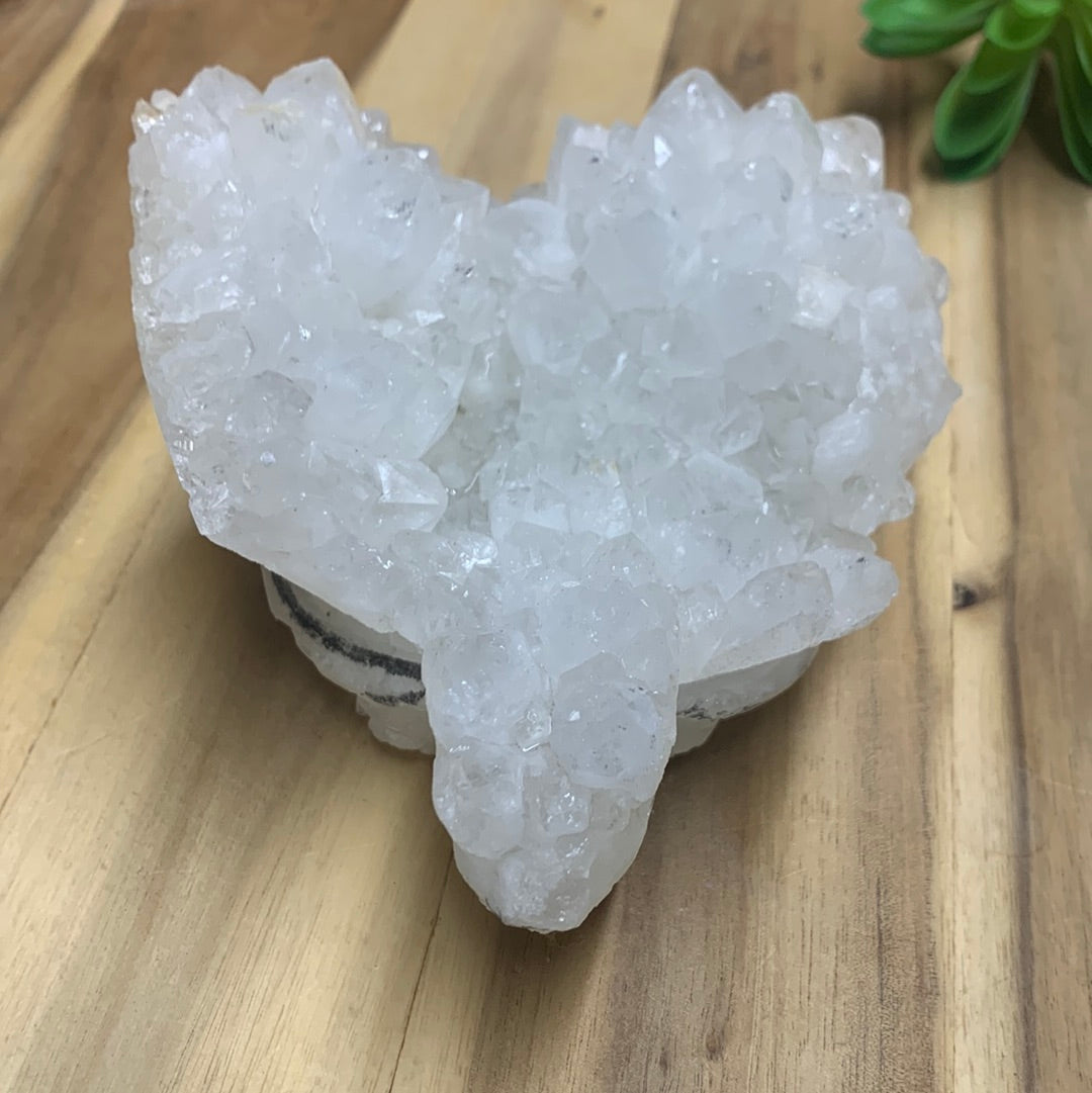 WHITE QUARTZ TURTLE (HUGE 1.246kg!!)