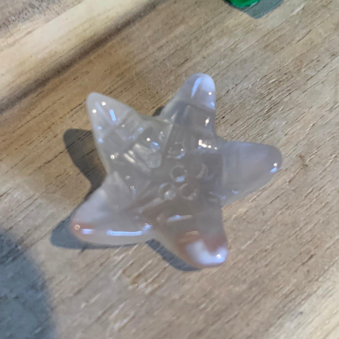 MINI STARFISH