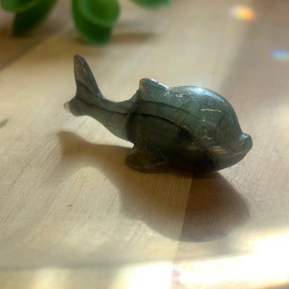 WHALES (SMALL)