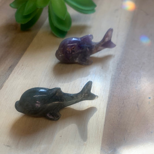 WHALES (SMALL)