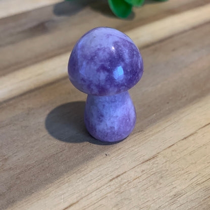 MUSHROOMS (SMALL)