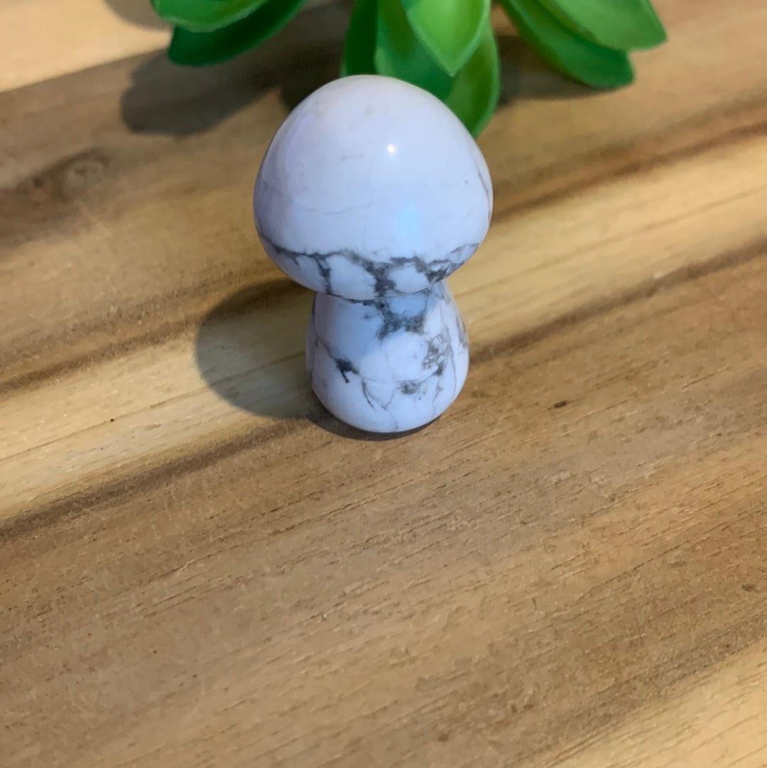 MUSHROOMS (SMALL)